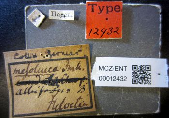 Media type: image;   Entomology 12432 Aspect: labels